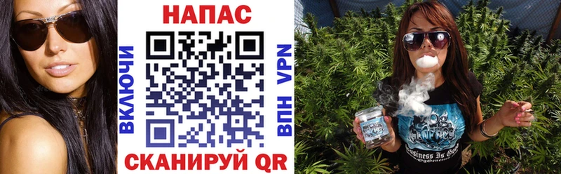 где купить наркотик  Братск  Конопля Amnesia 